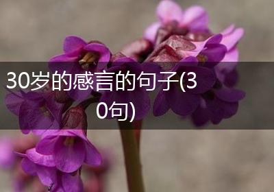 30岁的感言的句子(30句)