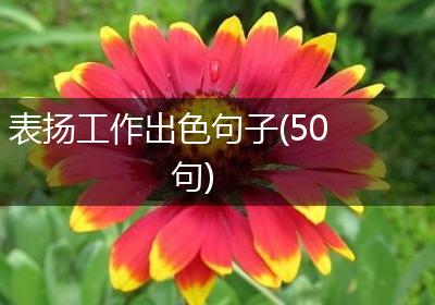 表扬工作出色句子(50句)