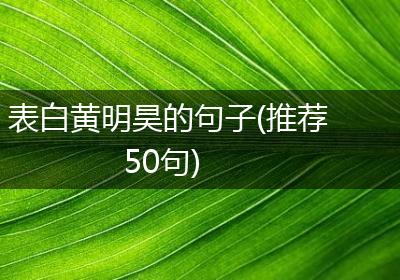 表白黄明昊的句子(推荐50句)
