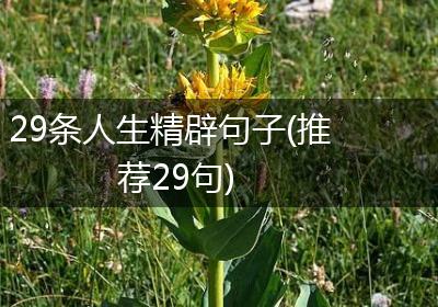 29条人生精辟句子(推荐29句)