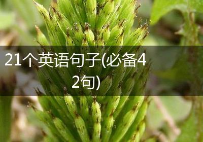 21个英语句子(必备42句)