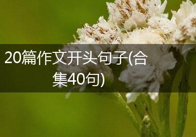 20篇作文开头句子(合集40句)