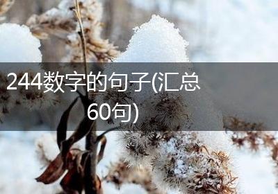 244数字的句子(汇总60句)