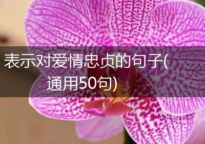 表示对爱情忠贞的句子(通用50句)