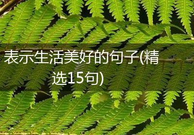 表示生活美好的句子(精选15句)