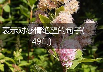 表示对感情绝望的句子(49句)