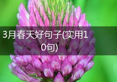 3月春天好句子(实用10句)