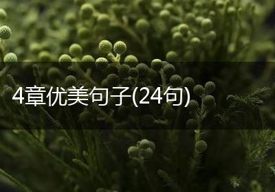 4章优美句子(24句)