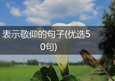 表示敬仰的句子(优选50句)