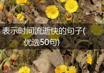 表示时间流逝快的句子(优选50句)