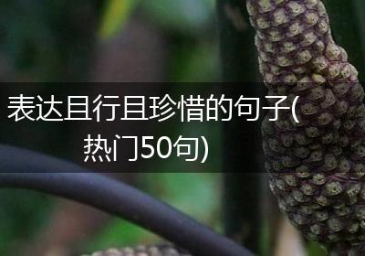 表达且行且珍惜的句子(热门50句)