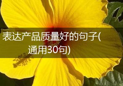 表达产品质量好的句子(通用30句)