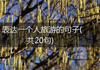 表达一个人旅游的句子(共20句)