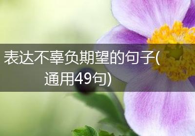 表达不辜负期望的句子(通用49句)