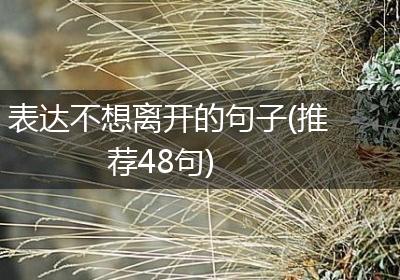 表达不想离开的句子(推荐48句)