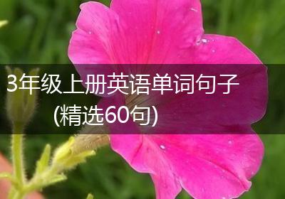 3年级上册英语单词句子(精选60句)