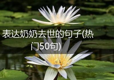 表达奶奶去世的句子(热门50句)