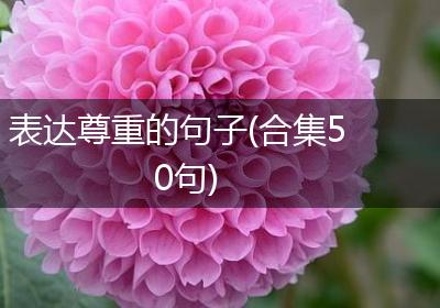 表达尊重的句子(合集50句)