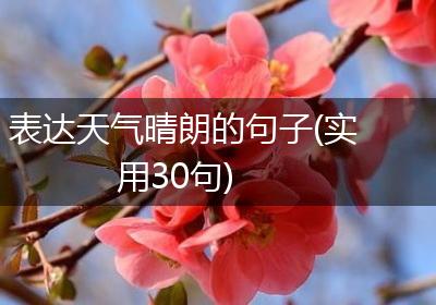 表达天气晴朗的句子(实用30句)
