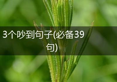 3个吵到句子(必备39句)