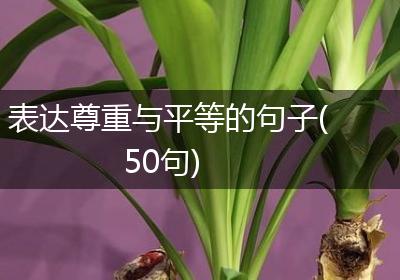 表达尊重与平等的句子(50句)