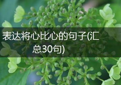 表达将心比心的句子(汇总30句)