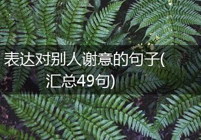 表达对别人谢意的句子(汇总49句)