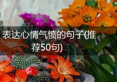 表达心情气愤的句子(推荐50句)