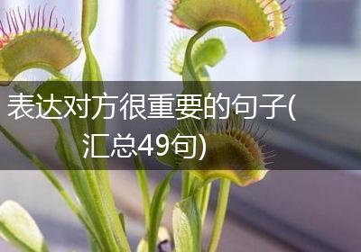 表达对方很重要的句子(汇总49句)