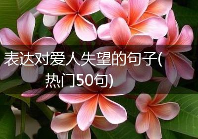 表达对爱人失望的句子(热门50句)