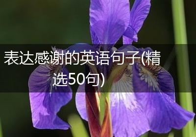 表达感谢的英语句子(精选50句)