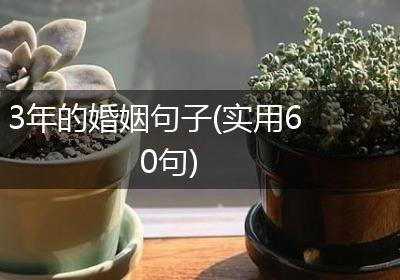 3年的婚姻句子(实用60句)