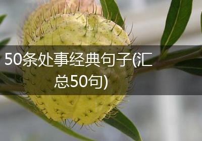 50条处事经典句子(汇总50句)