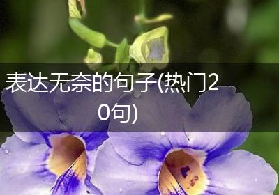 表达无奈的句子(热门20句)