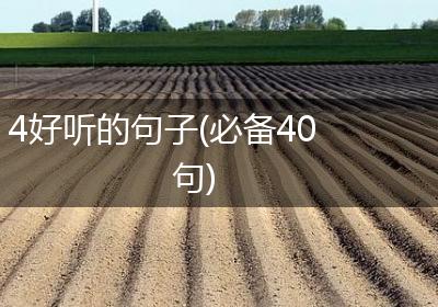 4好听的句子(必备40句)