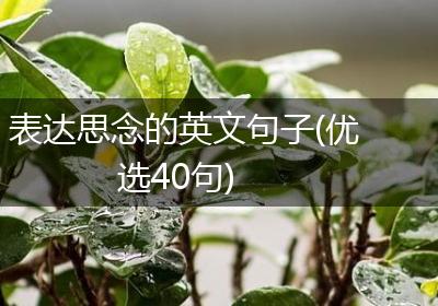 表达思念的英文句子(优选40句)