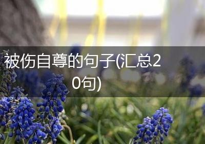 被伤自尊的句子(汇总20句)