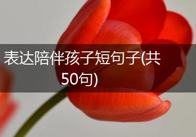 表达陪伴孩子短句子(共50句)