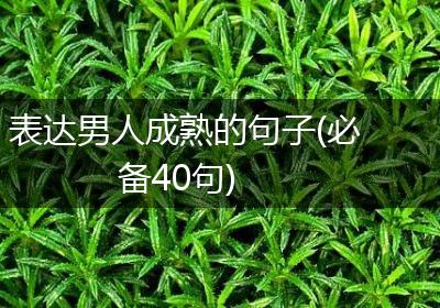 表达男人成熟的句子(必备40句)