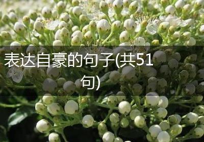表达自豪的句子(共51句)