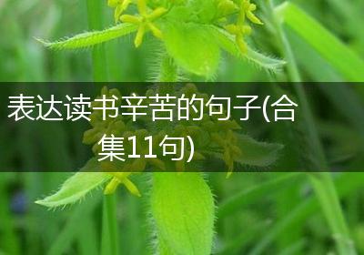 表达读书辛苦的句子(合集11句)