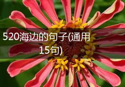 520海边的句子(通用15句)