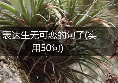 表达生无可恋的句子(实用50句)