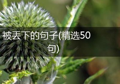 被丢下的句子(精选50句)