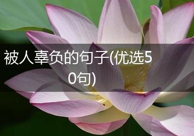 被人辜负的句子(优选50句)