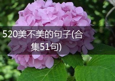 520美不美的句子(合集51句)