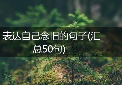 表达自己念旧的句子(汇总50句)