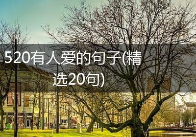 520有人爱的句子(精选20句)