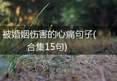 被婚姻伤害的心痛句子(合集15句)