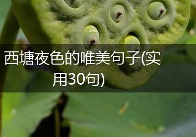 西塘夜色的唯美句子(实用30句)
